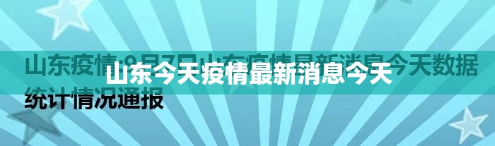 上海新增2例本土，上海新增2例本土新冠肺炎确诊病例