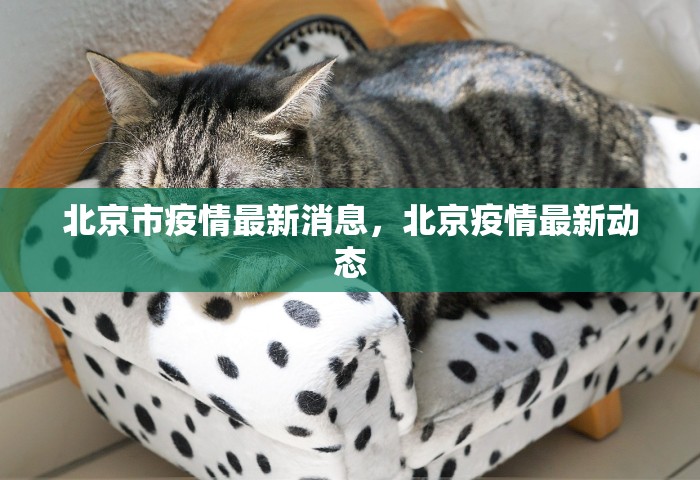 北京市疫情最新消息，北京疫情最新动态