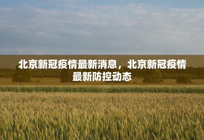 房卡全了解“微信开房间链接房卡在哪充”详细房卡怎么购买方式