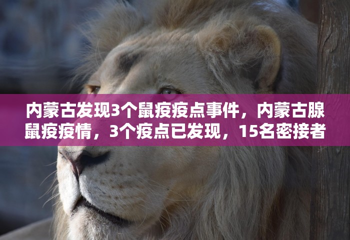 汝州疫情最新消息今天，汝州疫情最新消息（今日更新）