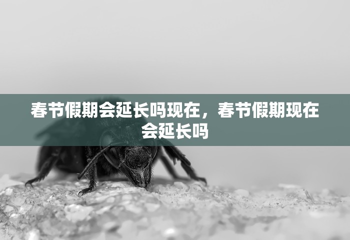 玩家测评“微信群开炸 金花房卡去哪充值	”详细房卡怎么购买方式