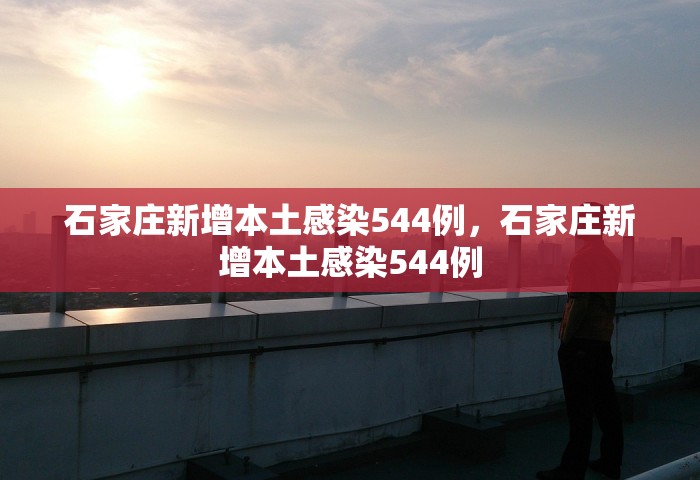 石家庄新增本土感染544例，石家庄新增本土感染544例