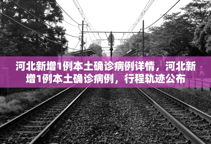 新疆新增本土31例，新疆新增本土31例