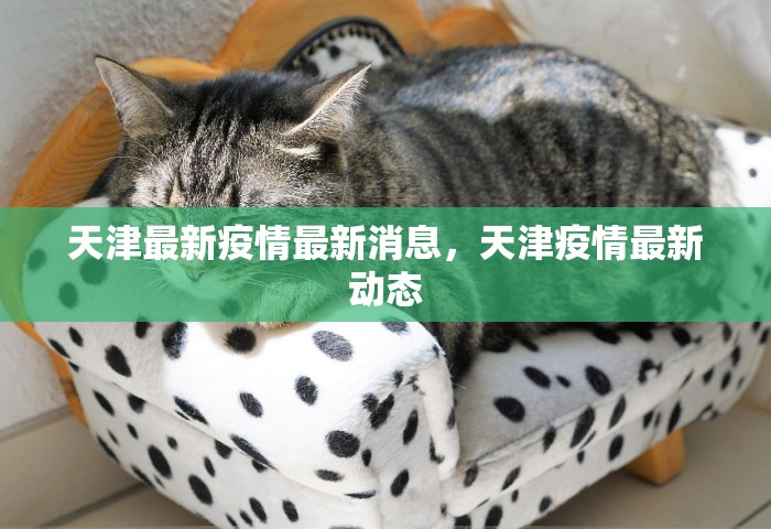 辽宁昨增12例本土无症状	，辽宁昨日新增12例本土无症状感染者