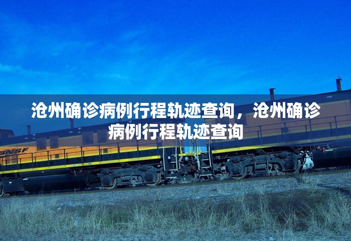 沧州确诊病例行程轨迹查询，沧州确诊病例行程轨迹查询