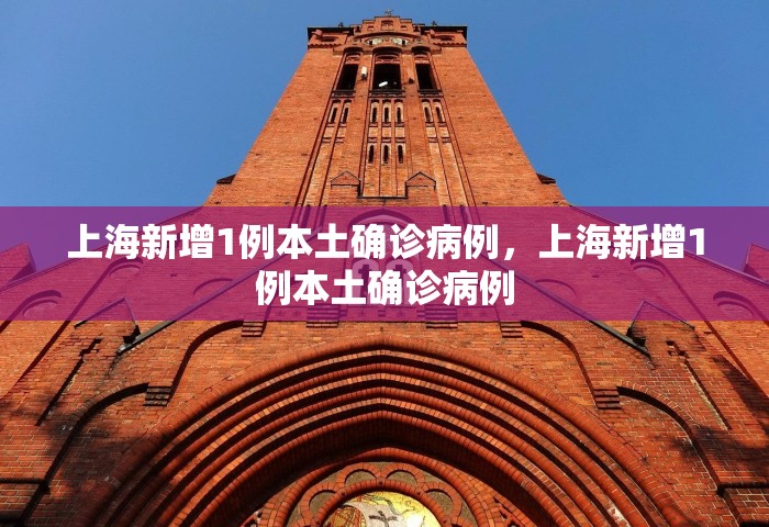 上海新增1例本土确诊病例	，上海新增1例本土确诊病例