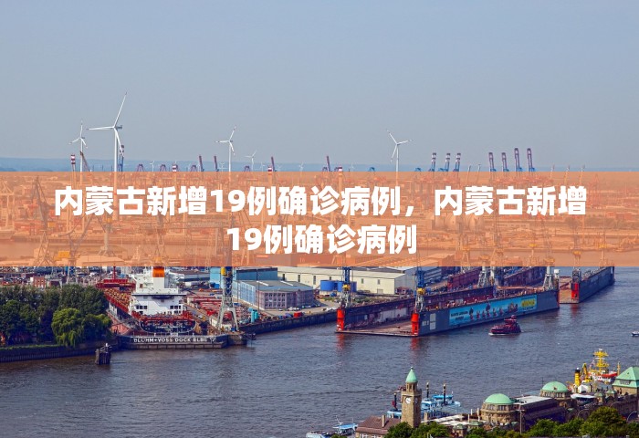 内蒙古新增19例确诊病例，内蒙古新增19例确诊病例