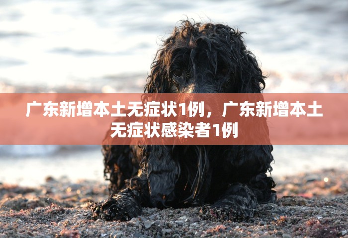 广东新增本土无症状1例	，广东新增本土无症状感染者1例