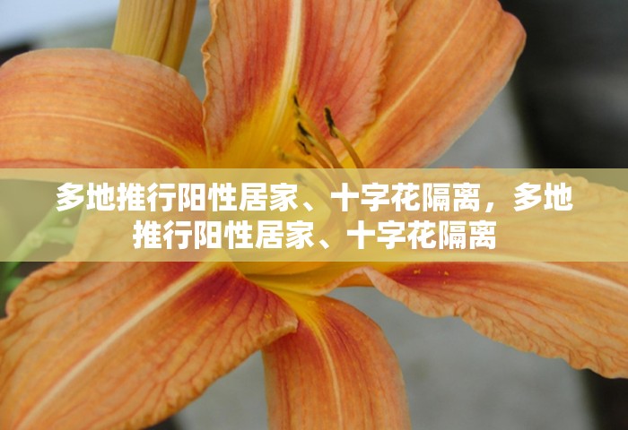 上海六院疫情支援武汉医疗队，上海六院支援武汉医疗队