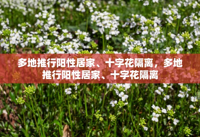 多地推行阳性居家、十字花隔离，多地推行阳性居家、十字花隔离
