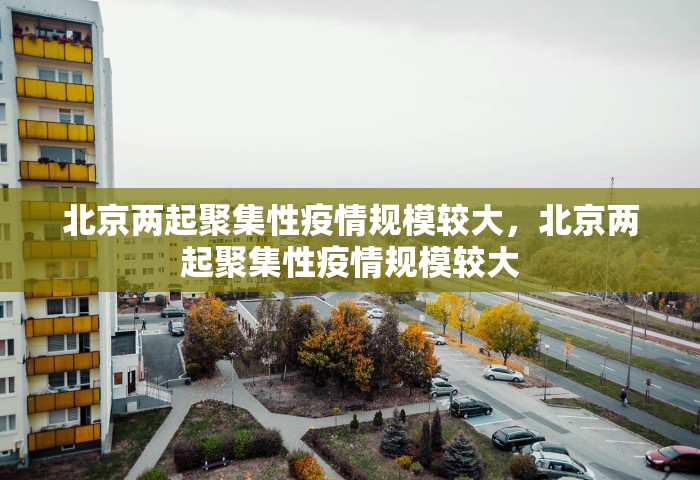 北京两起聚集性疫情规模较大，北京两起聚集性疫情规模较大