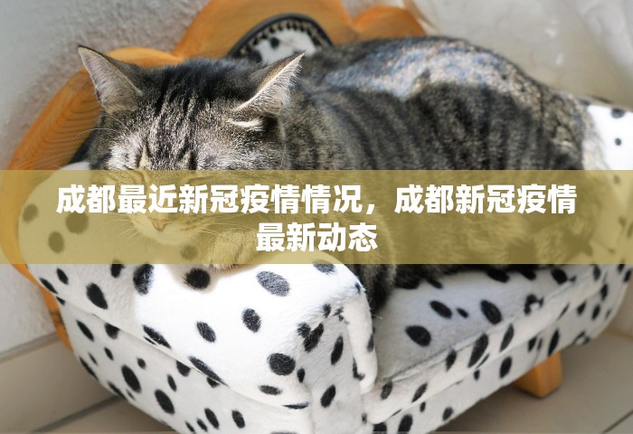 31省区市新增4例本土确诊，31省区市新增4例本土确诊