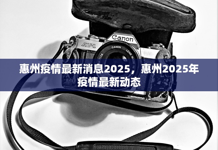 惠州疫情最新消息2025，惠州2025年疫情最新动态