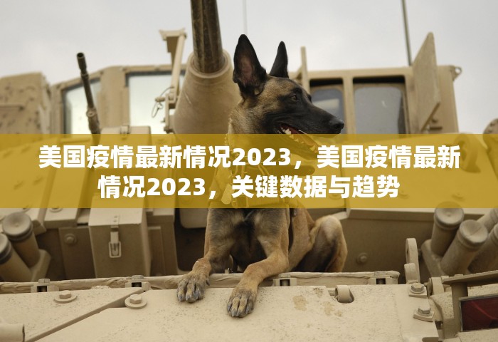 2024返乡政策最新查询，2024年最新返乡政策查询指南