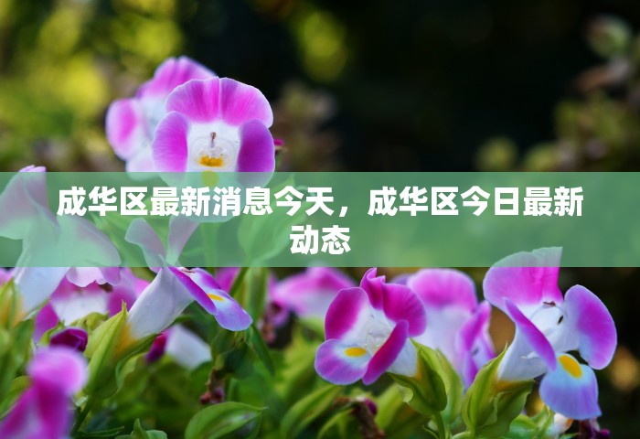 最新辽宁鞍山海城疫情	，辽宁鞍山海城最新疫情通报
