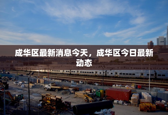 成华区最新消息今天，成华区今日最新动态
