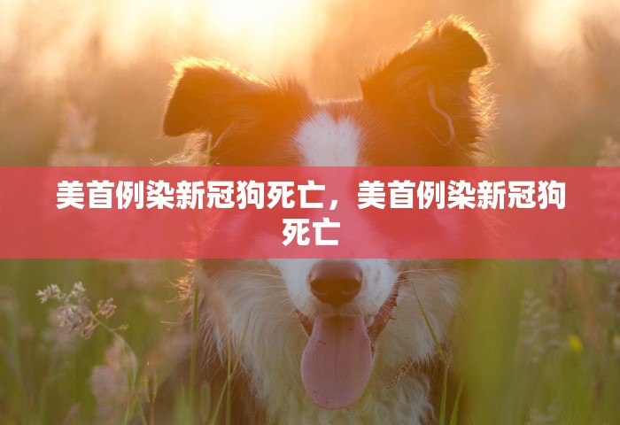 吉林疫情什么时候结束，吉林疫情预计何时结束？