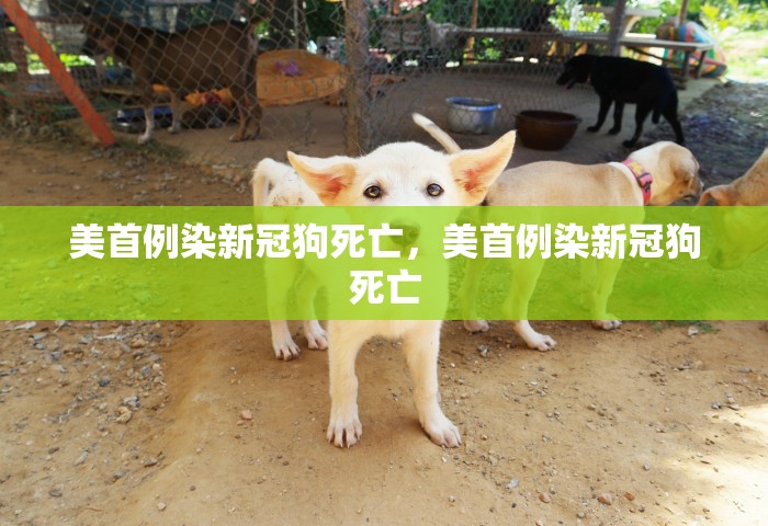 北京24小时实时天气预报新，北京24小时实时天气动态