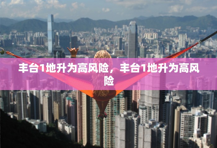 丰台1地升为高风险，丰台1地升为高风险