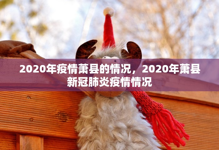 2020年疫情萧县的情况，2020年萧县新冠肺炎疫情情况