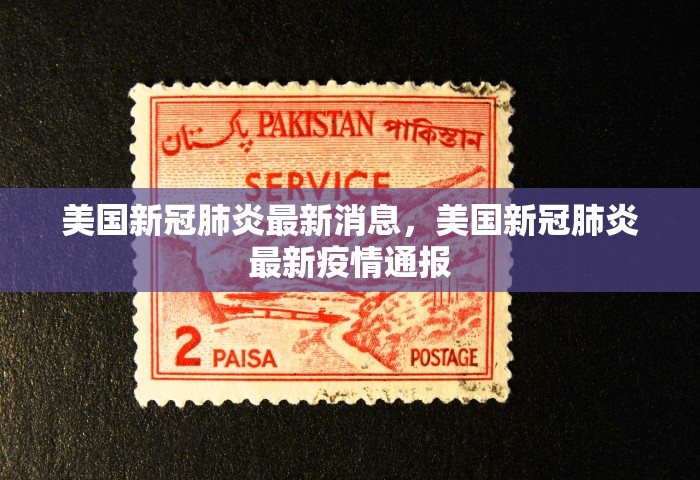 美国新冠肺炎最新消息	，美国新冠肺炎最新疫情通报