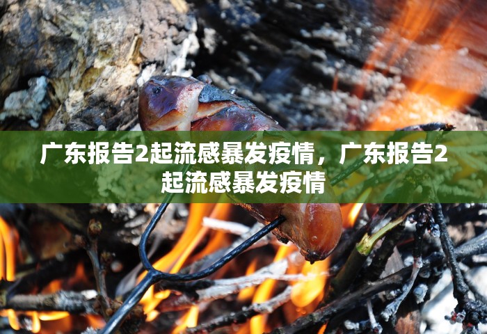 广东报告2起流感暴发疫情，广东报告2起流感暴发疫情