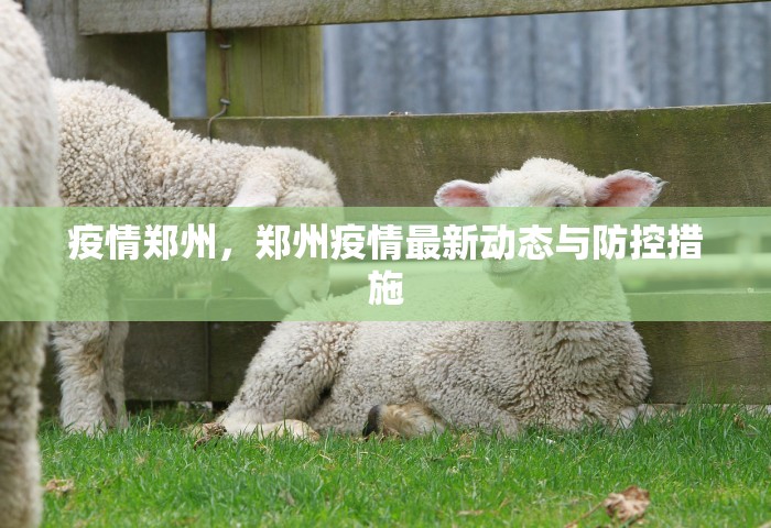 疫情郑州，郑州疫情最新动态与防控措施