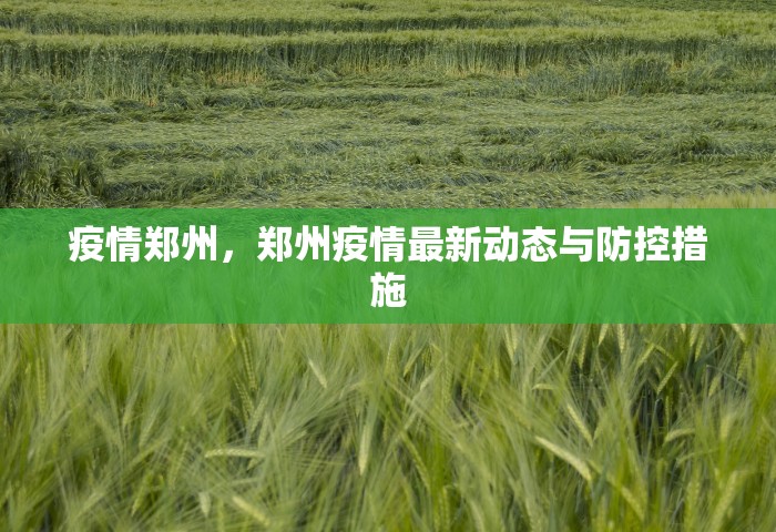 疫情郑州，郑州疫情最新动态与防控措施