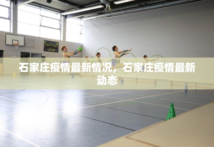 石家庄疫情最新情况，石家庄疫情最新动态