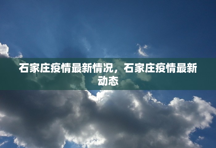 石家庄疫情最新情况，石家庄疫情最新动态