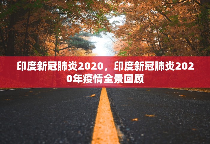 印度新冠肺炎2020，印度新冠肺炎2020年疫情全景回顾