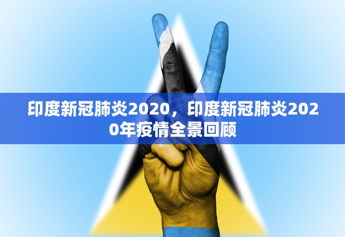 印度新冠肺炎2020，印度新冠肺炎2020年疫情全景回顾