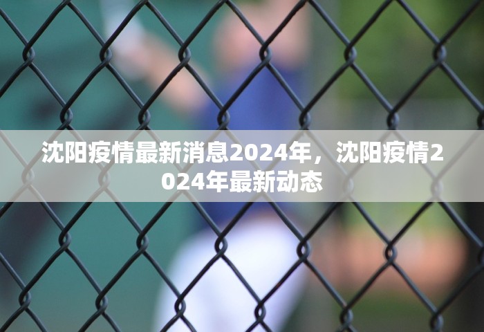 31省新增59例本土确诊，31省新增59例本土确诊