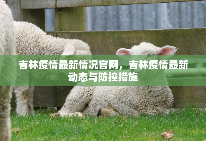 吉林疫情最新情况官网，吉林疫情最新动态与防控措施