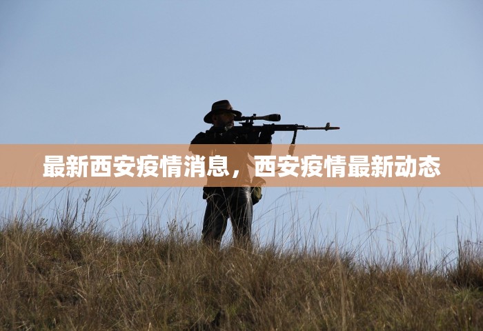 最新西安疫情消息，西安疫情最新动态