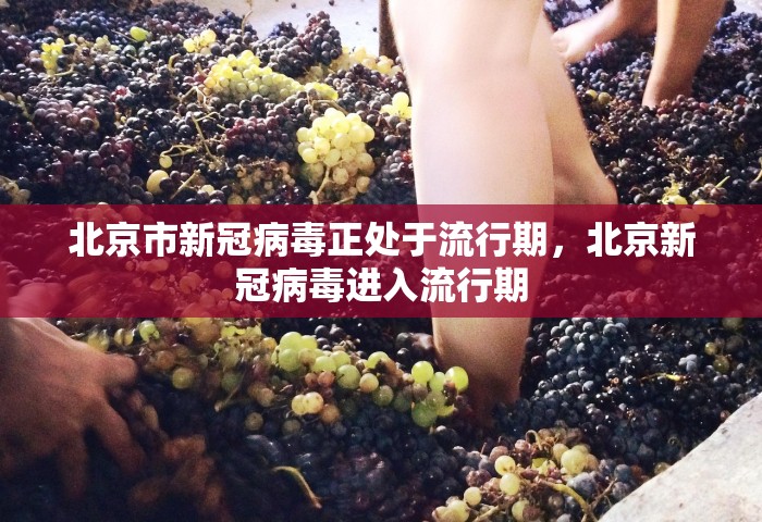 北京市新冠病毒正处于流行期，北京新冠病毒进入流行期