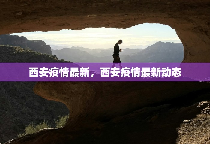 西安疫情最新，西安疫情最新动态