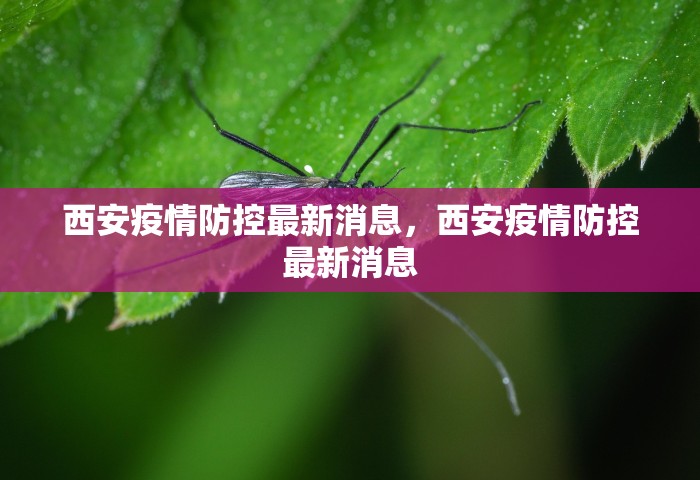 西安疫情防控最新消息	，西安疫情防控最新消息