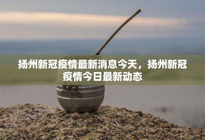 扬州新冠疫情最新消息今天	，扬州新冠疫情今日最新动态