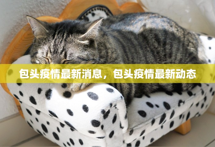 包头疫情最新消息，包头疫情最新动态