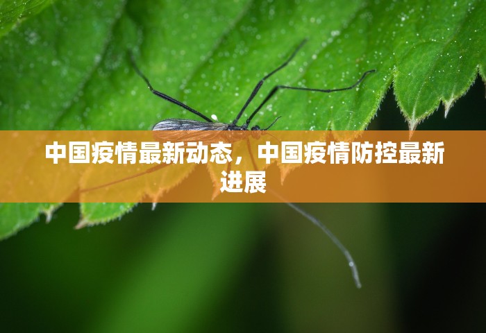 中国疫情最新动态	，中国疫情防控最新进展