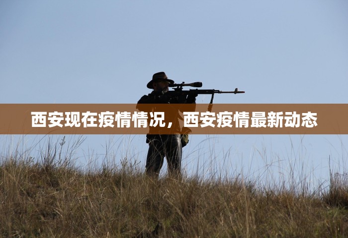 西安现在疫情情况，西安疫情最新动态