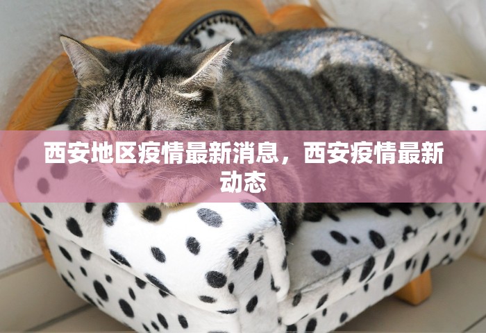 西安地区疫情最新消息	，西安疫情最新动态
