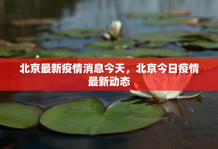 北京最新疫情消息今天，北京今日疫情最新动态