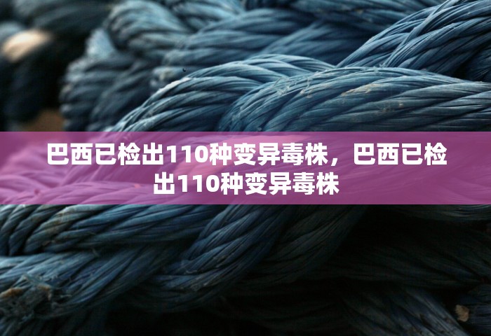 巴西已检出110种变异毒株	，巴西已检出110种变异毒株