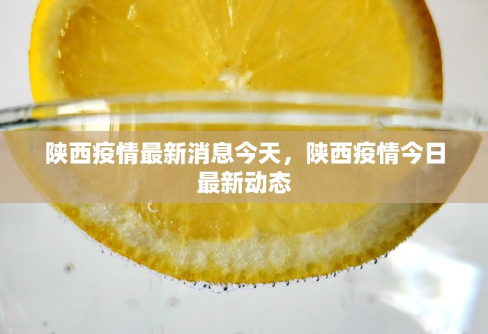 陕西疫情最新消息今天，陕西疫情今日最新动态