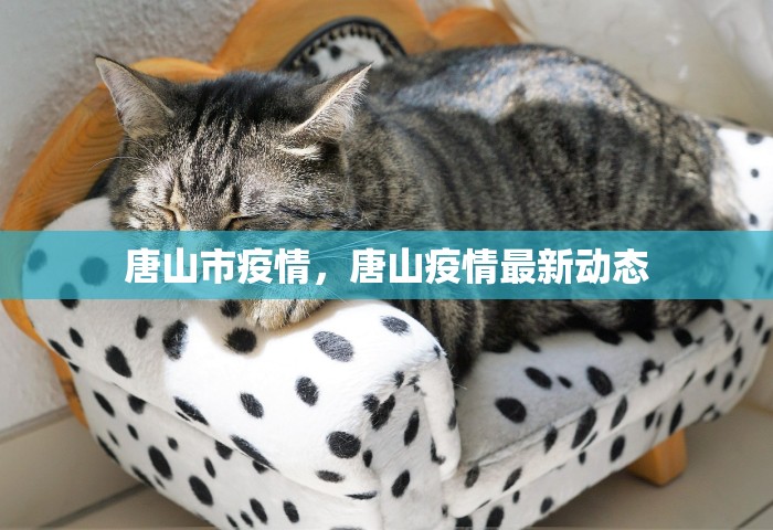 唐山市疫情，唐山疫情最新动态