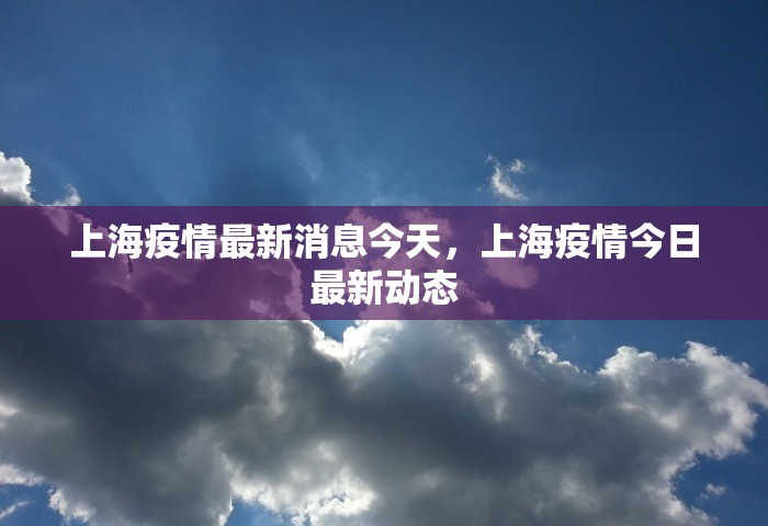 上海疫情最新消息今天，上海疫情今日最新动态