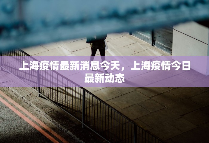 上海疫情最新消息今天，上海疫情今日最新动态