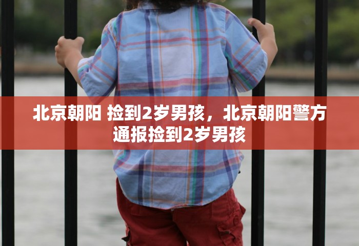 北京朝阳 捡到2岁男孩，北京朝阳警方通报捡到2岁男孩